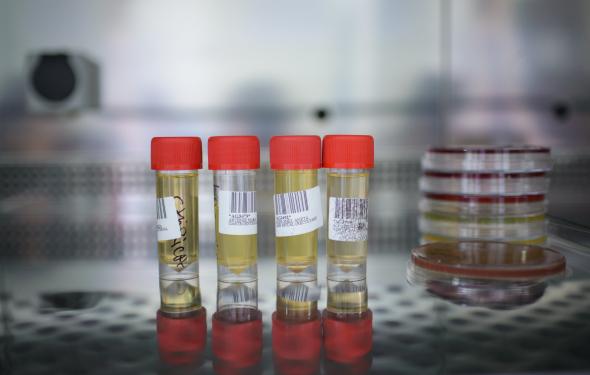 Laboratorul de analize medicale al Spitalului Providența Iași