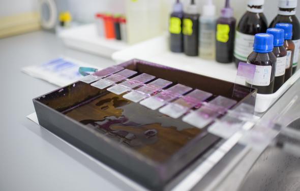 Laboratorul de analize medicale al Spitalului Providența Iași