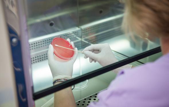 Laboratorul de analize medicale al Spitalului Providența Iași