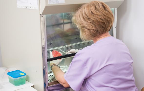 Laboratorul de analize medicale al Spitalului Providența Iași