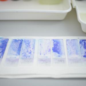 Laboratorul de analize medicale al Spitalului Providența Iași