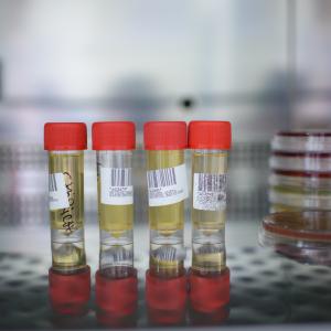 Laboratorul de analize medicale al Spitalului Providența Iași Laboratorul de analize medicale al Spitalului Providența Iași