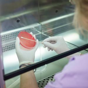 Laboratorul de analize medicale al Spitalului Providența Iași